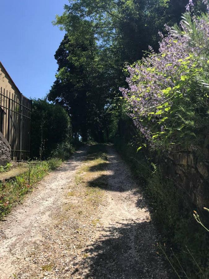 Antica Dimora Di Laura Lägenhet Barberino di Mugello Exteriör bild