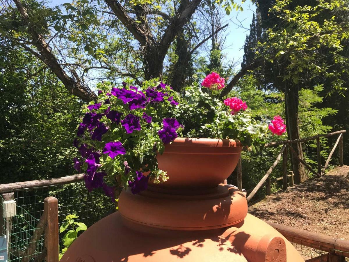 Antica Dimora Di Laura Lägenhet Barberino di Mugello Exteriör bild